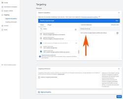 Pubblico target di Google Ads