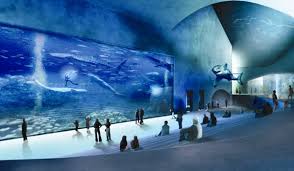 Image result for blue planet aquarium denmark