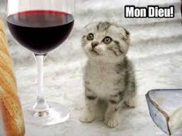 images?q=tbn:ANd9GcQ2AwDdUSxREVmQERW177H7vOmQEuCraOzTwafxUTR65xOVhVhqQw