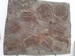 Morocco trips (@lotfihmimid) • Facebook