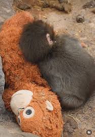 Nguyen Nam Giang added a new photo. - Nguyen Nam Giang