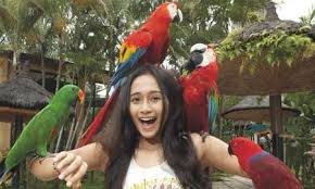 Hasil gambar untuk BIRD PARK BALI