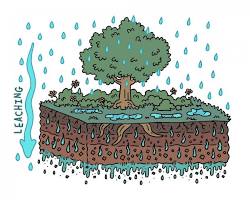 Image of Leaching in soil