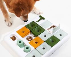 puppy playing with a puzzle toyの画像