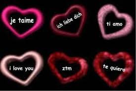 R&eacute;sultat de recherche d'images pour 