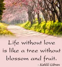 Cute Quotes About Life via Relatably.com