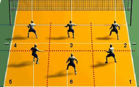 Resultado de imagen para nombre de las posiciones del voleibol en la cancha