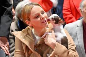 Charlène de Monaco: Marche émouvante pour les animaux! Découvrez pourquoi!