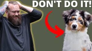 Related video thumbnail