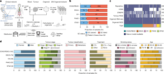 A tumour-derived organoid biobank maps cancer gene dependencies