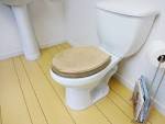 STYLISH RESIN SILVER GLITTER TOILET SEAT WITH CHROME