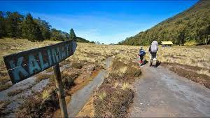 Hasil gambar untuk pecinta alam indonesia