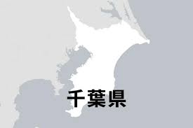 News source: バーチャル高校野球