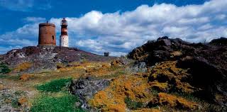 Resultado de imagen para PAISAJES de las islas malvinas pinguinos