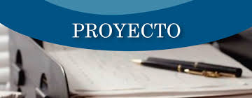 Resultado de imagen para proyecto