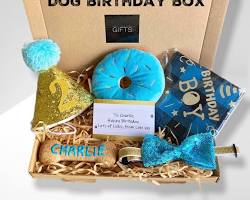 dog birthday presentsの画像