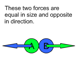 Image result for newton's third law