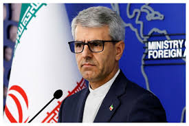توضیحات بقائی درباره دعوت FATF از ایران/ تهران رسما به عضویت پالرمو درآمده است+ فیلم