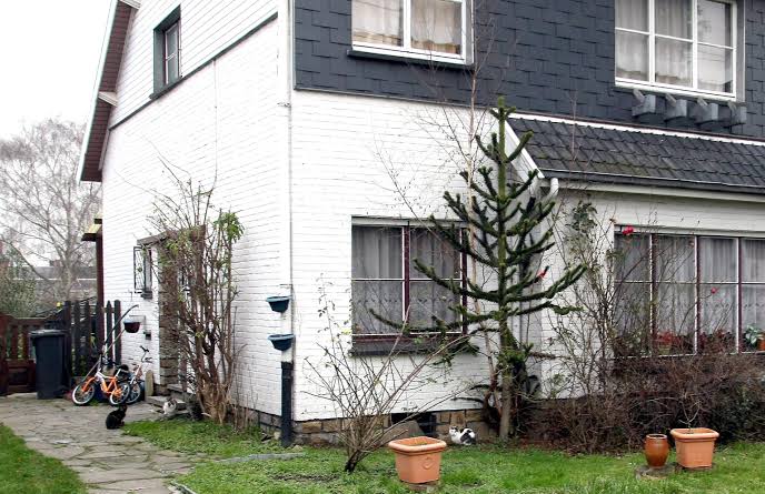 Construction workers discover gold nuggets and coins during renovation works in Sint-Gillis-Dendermonde; prosecutor's office launches investigation into origin and legal ownership