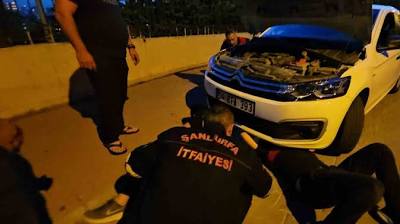 Şanlıurfa'da otomobilin motor kısmına sıkışan kedi operasyonla kurtarıldı İhlas Haber Ajansı