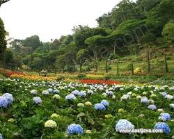 Gambar Selecta Flower Garden