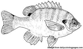 fish coloring pages ile ilgili görsel sonucu