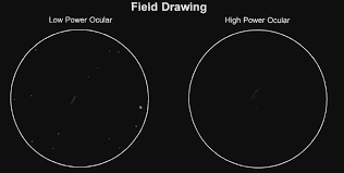 Image result for galaxy m100