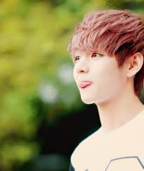 images?q=tbn:ANd9GcQ3JBwh7yOeRL46Fp0zQ4W