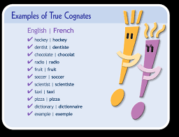 external image images?q=tbn:ANd9GcQ3XqyPExnyvu-uEwJDdOT3yBReYfh3JIE--rDpjFjI_h4qoXEC