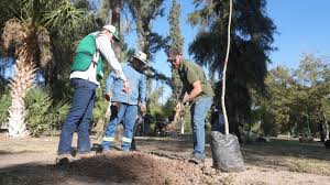 Reforestan con 100 nuevos árboles el bosque Venustiano Carranza