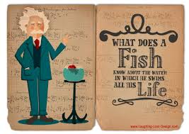 Einstein Fish Quote | Quotations via Relatably.com