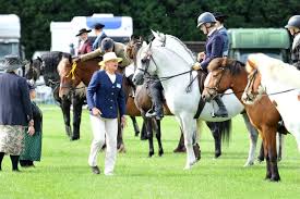 south of england show