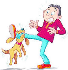 Dog Bite Incident: ಚಾಮರಾಜನಗರದಲ್ಲಿ 30ಕ್ಕೂ ಹೆಚ್ಚು ಮಂದಿಗೆ ನಾಯಿ ಕಚ್ಚಿ ಗಾಯ