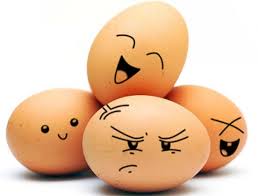 Image result for telur