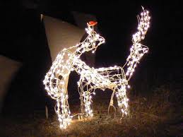 Image result for funny christmas lights