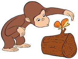 Image result for curious george