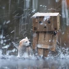 Rainy Day Danbo Pictures, Photos, and Images for Facebook, Tumblr ... via Relatably.com