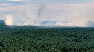 müritz nationalpark brand