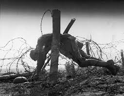 Image result for images barbed wire world war I trenches
