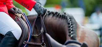 Image result for show jumping