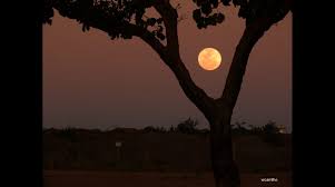 Lua de Morango brilha no céu de Mato Grosso do Sul