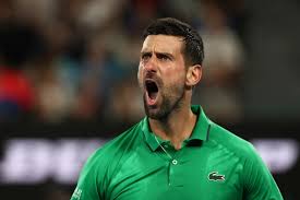 Australian Open: Novak Djokovic, Carlos Alcaraz to meet in final after marathon semifinal victories