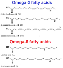 Image result for omega-3 structure