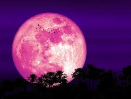 Luna llena de junio: a qué hora se podrá ver la Luna de Fresa y desde qué puntos se verá