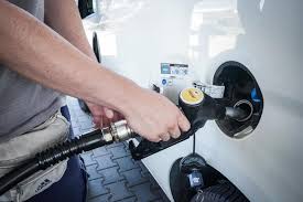 Trend Google: gasolio