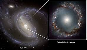 Image result for hoag's object