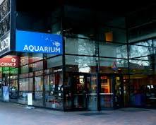 Immagine di Discovery Place Science, Charlotte