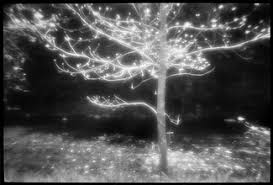 Résultat de recherche d'images pour "zone plate"