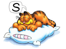 Image result for sleep