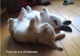 Resultado de imagen de energizer bunny gifs